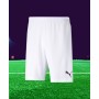 Short Puma Team Rise