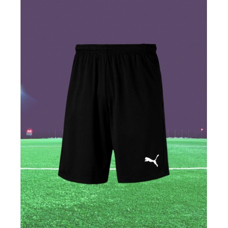 Puma Liga Training Shorts