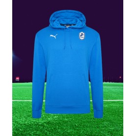 Hoody Puma Team Goal 23 Casuals