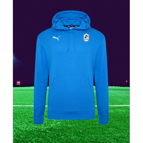 Hoody Puma Team Goal 23 Casuals