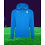 Puma Team 23 Casuals Hoody